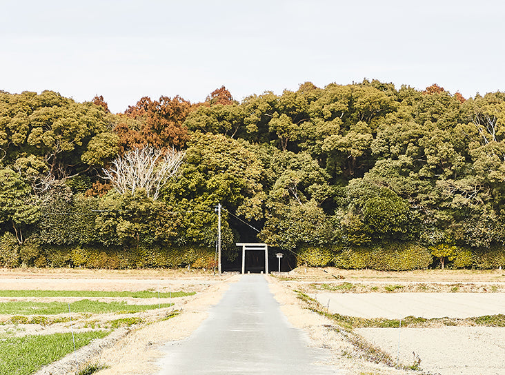 とばっ子市場　