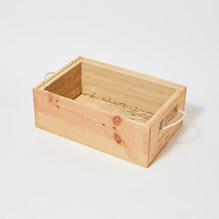 左官職人が考えた小さな野菜蔵