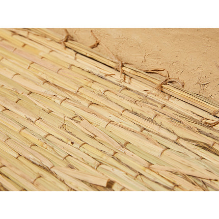 左官職人が考えた小さな野菜蔵