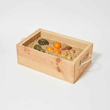 左官職人が考えた小さな野菜蔵