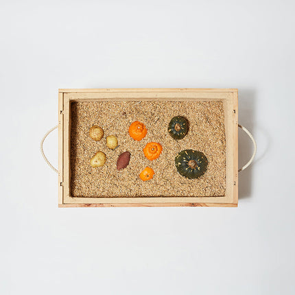 左官職人が考えた小さな野菜蔵